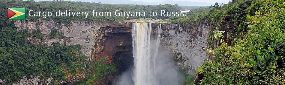 Cargo delivery from Guyana to Russia