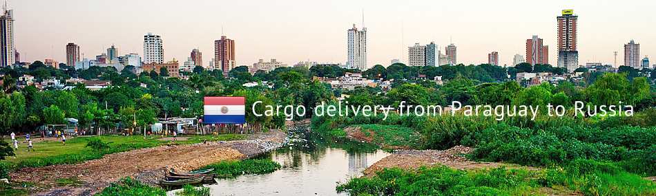 Cargo delivery from Paraguay to Russia
