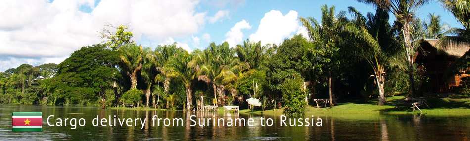 Cargo delivery from Suriname to Russia