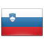 Флаг словении