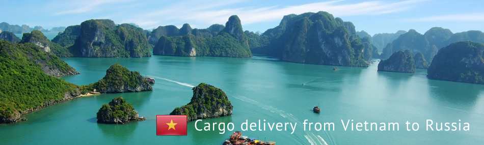 Cargo delivery from Vietnam to Russia