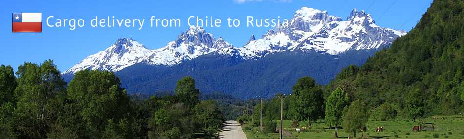 Cargo delivery from Chile to Russia