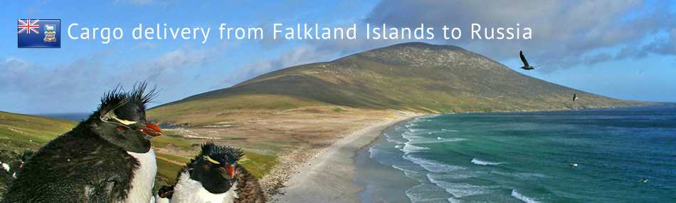 Cargo delivery from Falkland Islands to Russia